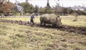 russia hunting GIF