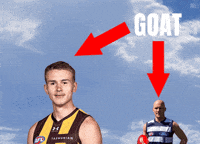 Hawthorn Hawks Afl GIF