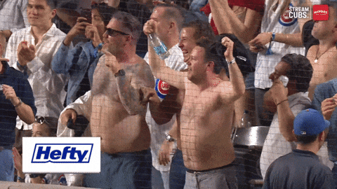 Chicago Cubs Baseball GIF