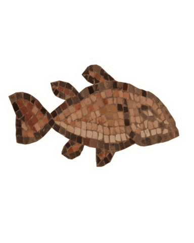 Fish Jerusalem Sticker by Dormitio Abtei