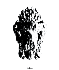 Black And White Art Sticker by Miron