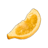 citreve citreve freezedriedlemonwedge citrevelemonwedge Sticker