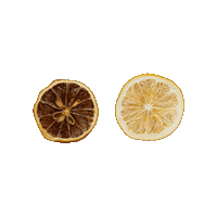 citreve citreve freezedriedcitrus freezedriedvsdehydrated Sticker