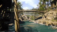 Take A Dip In A River