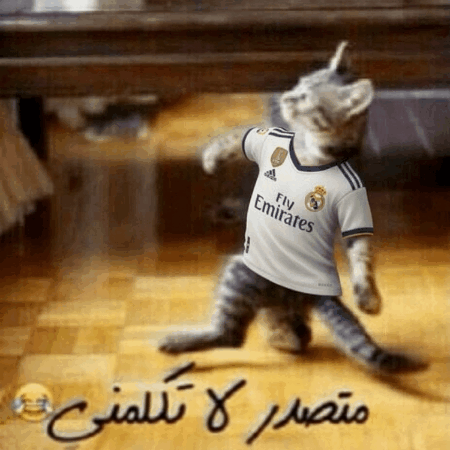 iySofi giphygifmaker giphyattribution iysofi الملكي GIF