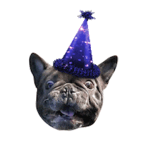 French Bulldog Dog Sticker by Jam_