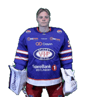 Keeper Mathias Sticker by VIF Hockey