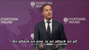 Strongertogether Otan GIF by NATO