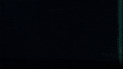 GIF by Studiocanal Germany