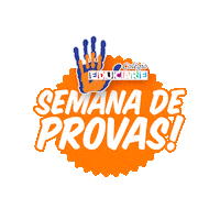 Educarebraganca colégio educare Sticker