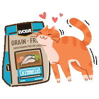 Cats Evolve Sticker by Sunshine Mills