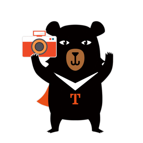 Bear Camera Sticker