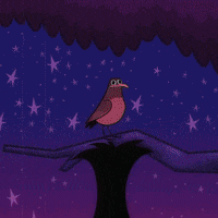Teen Titans Go Robin GIF by Cartoon Network EMEA