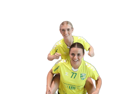 Handball Stocker Sticker by HC Gelpe/Strombach