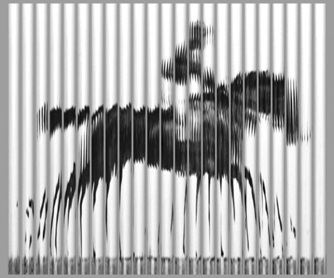 film GIF