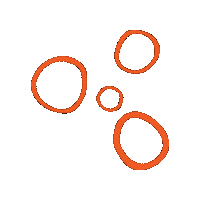 Scout Rond Sticker by EEDF Officiel