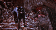 hocus pocus 90s GIF