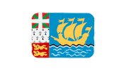 emojivid emoji flag emojivid stpierremiquelon Sticker