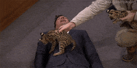 jimmy fallon wow GIF by The Tonight Show Starring Jimmy Fallon