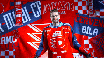Martin Kaut GIF by HC Dynamo Pardubice