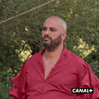 Marc Lol GIF by CANAL+