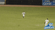 excited grand rapids GIF by West Michigan Whitecaps 