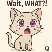 Wait What Wow GIF by Persona