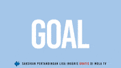 Goal Astonvilla GIF by MolaTV