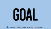 Goal Burnley GIF by MolaTV