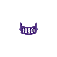 conway bearclawsup Sticker by University of Central Arkansas