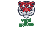 Tiger Kickboxing Sticker by HungarianWorldCup