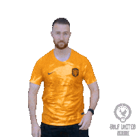 Celebrating Van Dijk Sticker by Gulf United FC