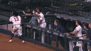 Major League Baseball Sport GIF by MLB