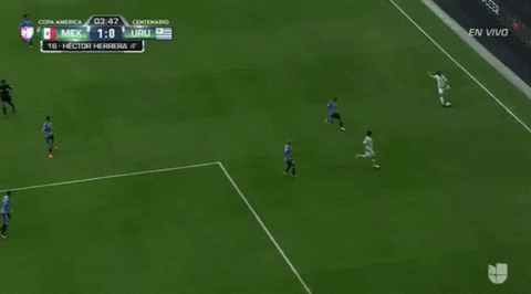 Copa America Centenario Goal GIF by Univision Deportes