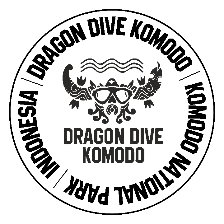 Scubadiving Sticker by Dragon Dive Komodo