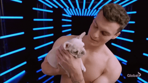 Big Brother Canada GIF by Global TV