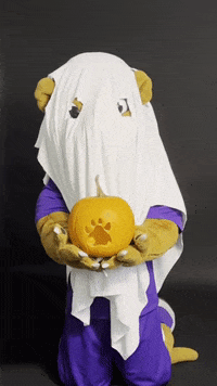 Halloween Ghost GIF by Linfield University