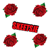 fries frysk Sticker by Omrop Fryslân