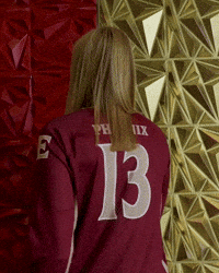 Elon Volleyball GIF by Elon Phoenix