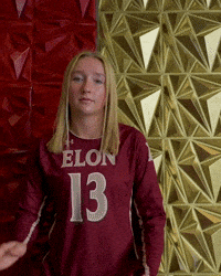 Elon Volleyball GIF by Elon Phoenix