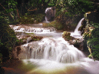 Glossar Beurteilungsvermoegen GIF by FranchiseONE.de