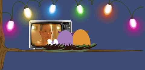 home alone christmas GIF by Alex the owl