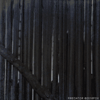 arnold schwarzenegger predator GIF by foxhorror