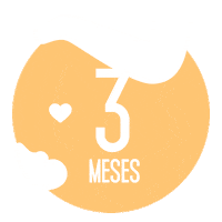 Gravidas Sticker by IN8 Home