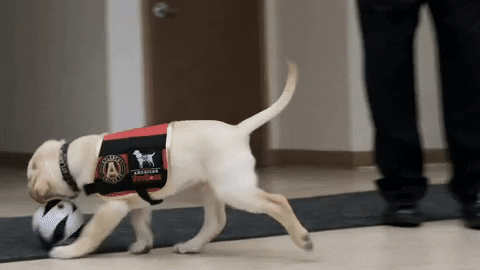 Soccer Ball GIF by Atlanta United