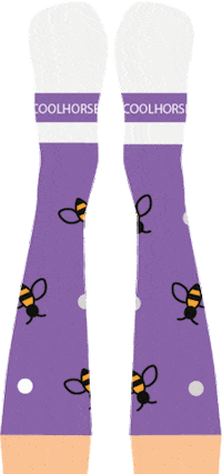 Socks Sticker by coolhorsesocks