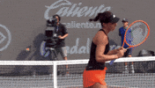 Avanesyan GIF