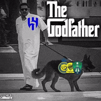 ilem32 al hilal al nassr alhilal roshan GIF