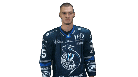Popradhockey Sticker by HK Poprad