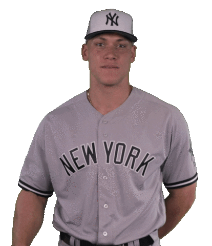 New York Yankees No Sticker by MLB